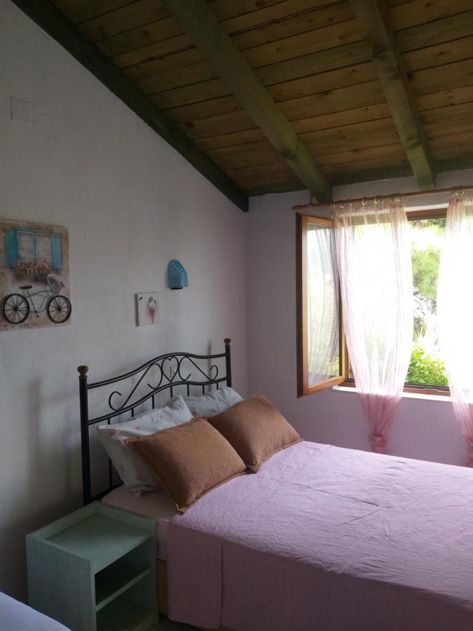 Direkt Na Moru - Bungalov Apartment Sibenik Bagian luar foto