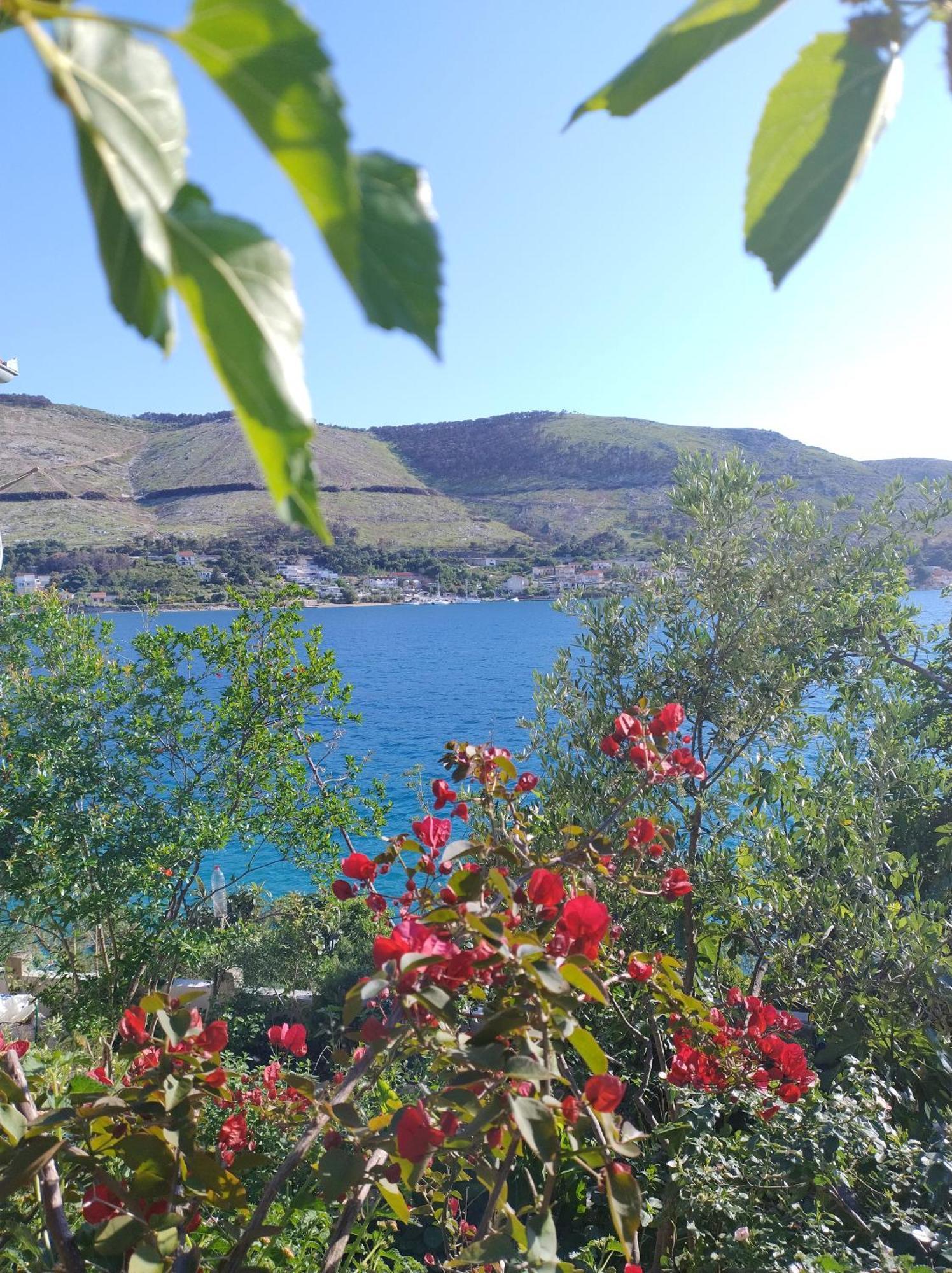 Direkt Na Moru - Bungalov Apartment Sibenik Bagian luar foto